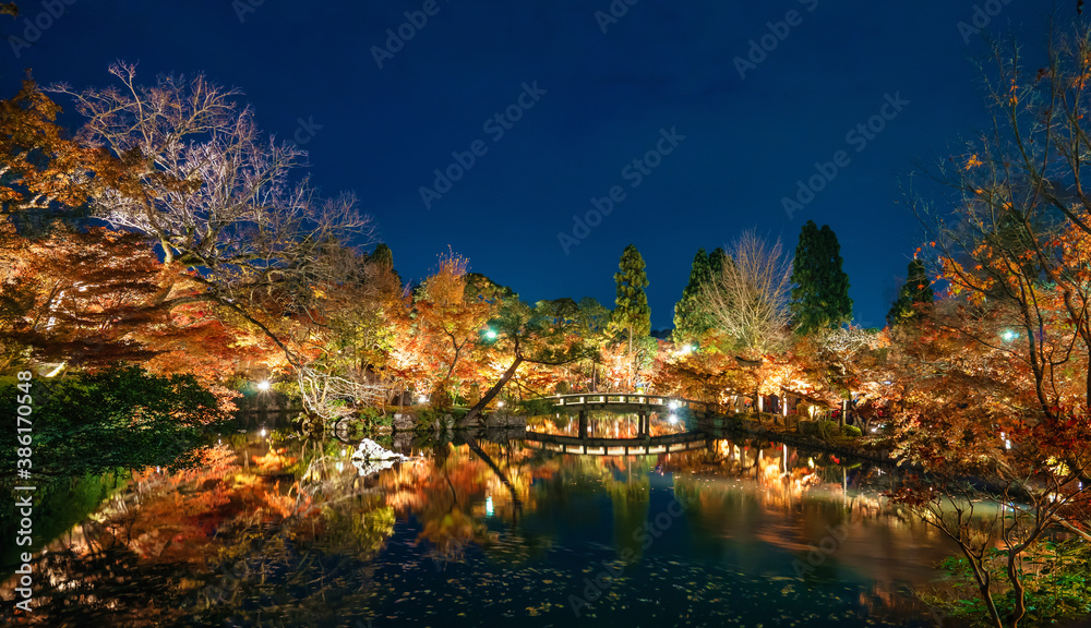 Night View with maple in Eikando temple, Kyoto, Japan