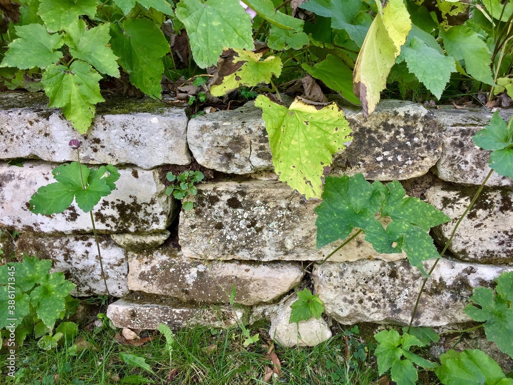 Mur en pierre sèche