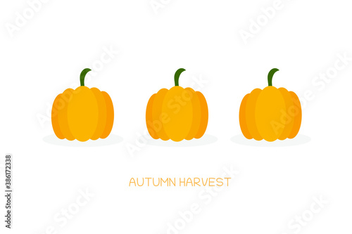 Vector set of orange pumpkins isolated on a white background.Thanksgiving pictogram collection farm harvest, vegetable. Halloween.