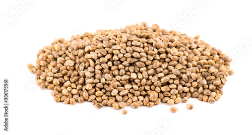 Hemp seeds isolated on white background. Dry seeds of cannabis, hemp or marijuana.