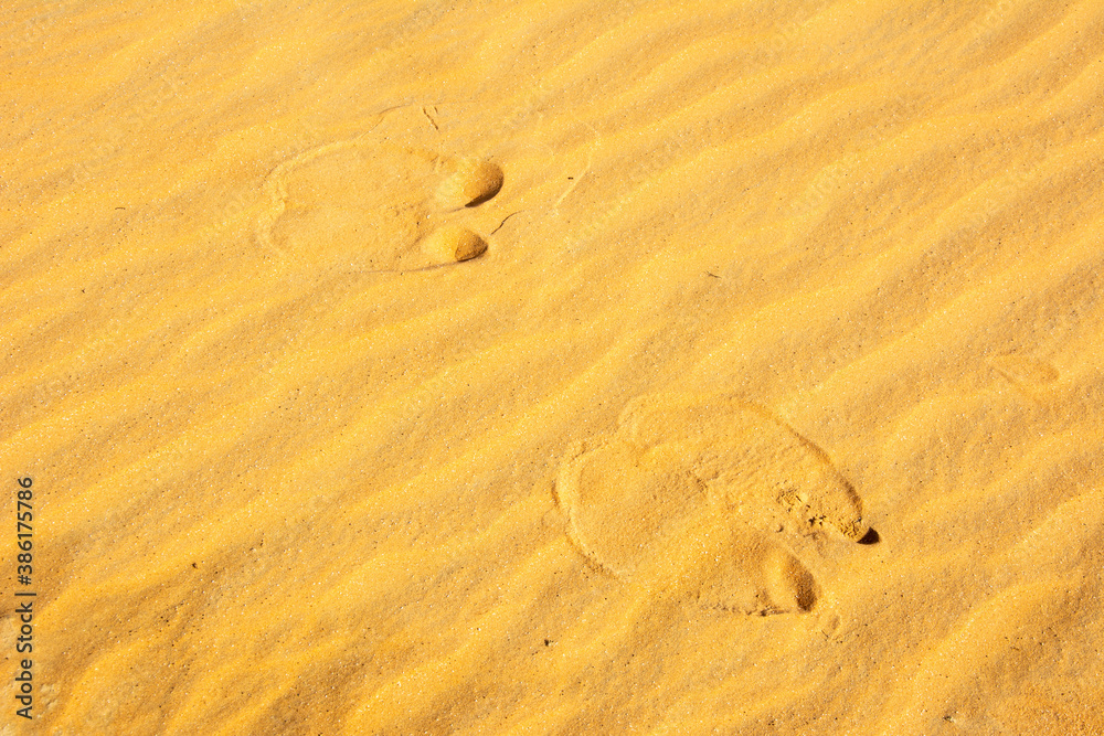 Camel footprints on a wavy sand in a desert in the United Arab Emirates Camel footprints on a wavy sand in a desert in the United Arab Emirates
