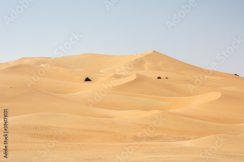 Sand dunes in the Empty Quarter (Rub' al Khali) part of the larger Arabian Desert in the United Arab Emirates.
