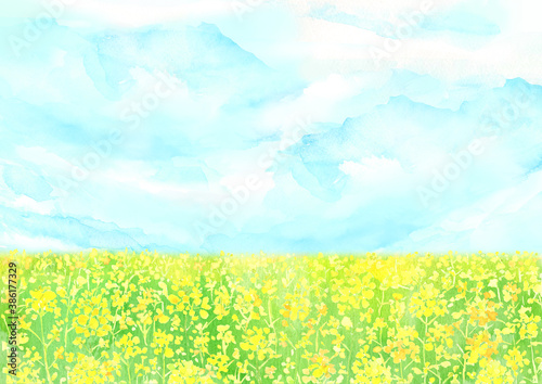 水彩で描いた菜の花畑の風景