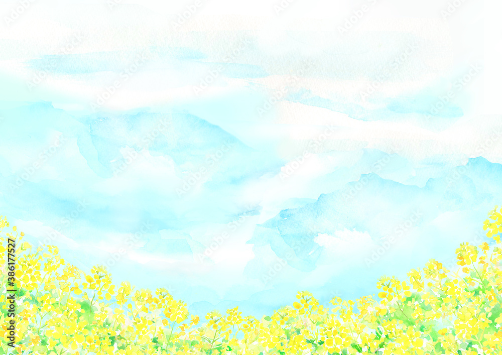 水彩で描いた菜の花畑の背景イラスト Stock Illustration Adobe Stock