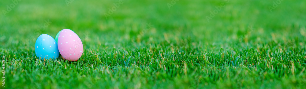 Painted Easter eggs lie on the green grass of the gazog. Stretched panoramic image for banner Painted Easter eggs lie on the green grass of the gazog. Stretched panoramic image for banner
