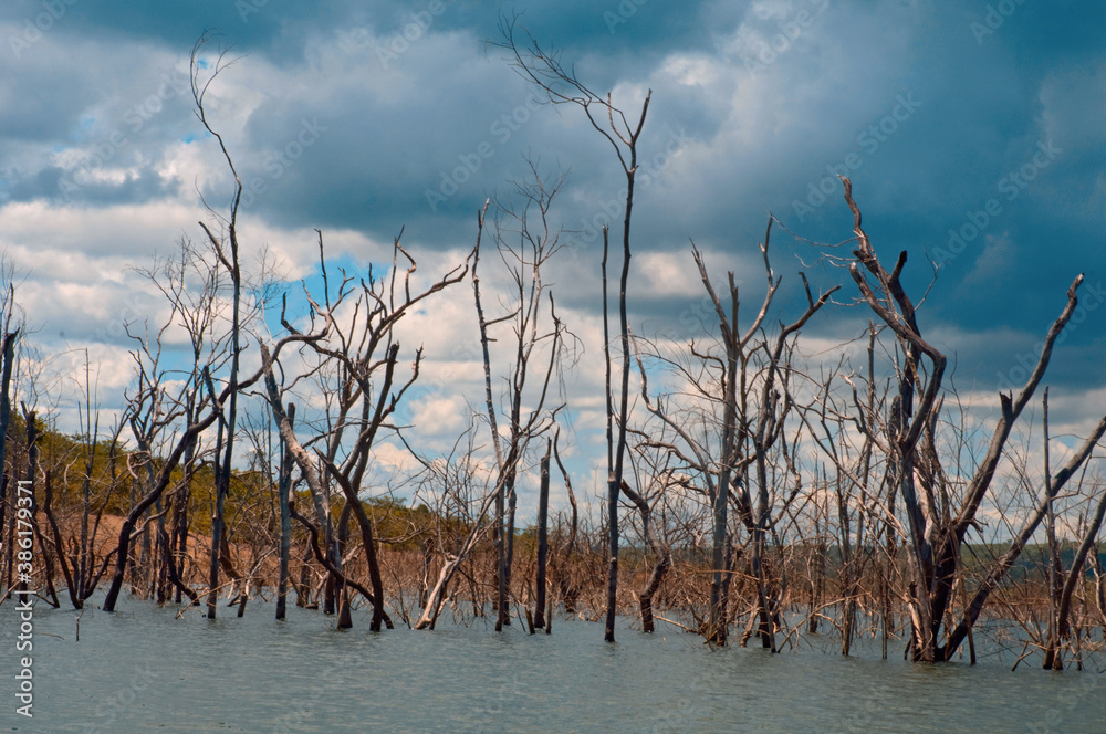 Trees were submersed after flooding of the reservoir of the Corumbá IV Hydroelectric Station, Luziânia, Goiás. July 2012