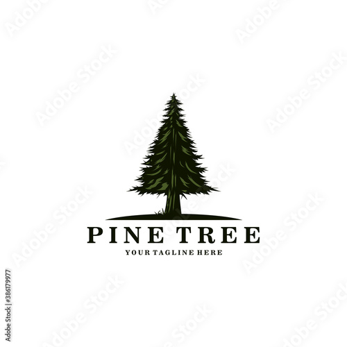 Pine Tree logo vintage illustration design