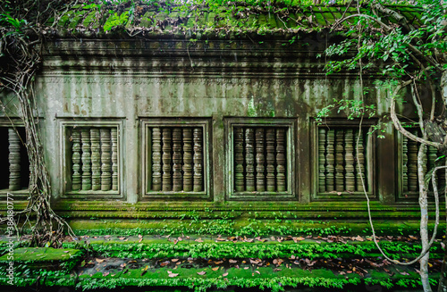 Front view of a large old gray cement wall with window and balustrades with moss and green ferns perched in Beng Mealea  Cambodia. There are yellow and orange dry leaves placed. Vintage Wallpapers.