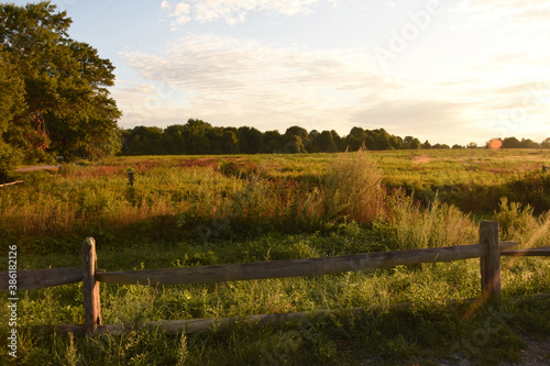 Stunning Views of a Meadow During the Golden Hour