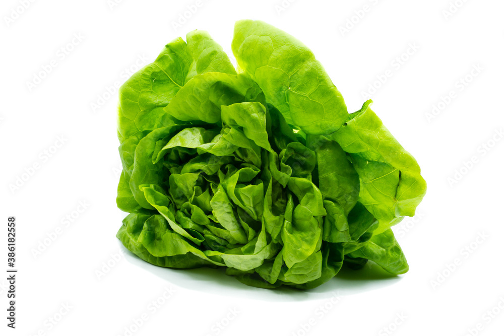 green lettuce isolated on white background green lettuce isolated on white background