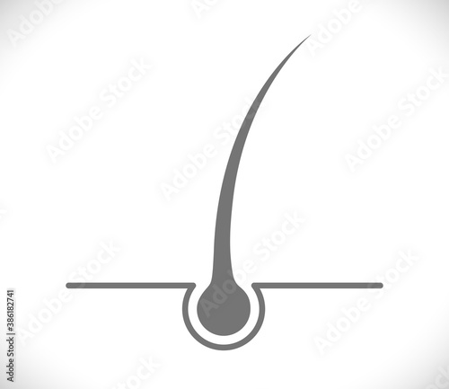 hair concept icon