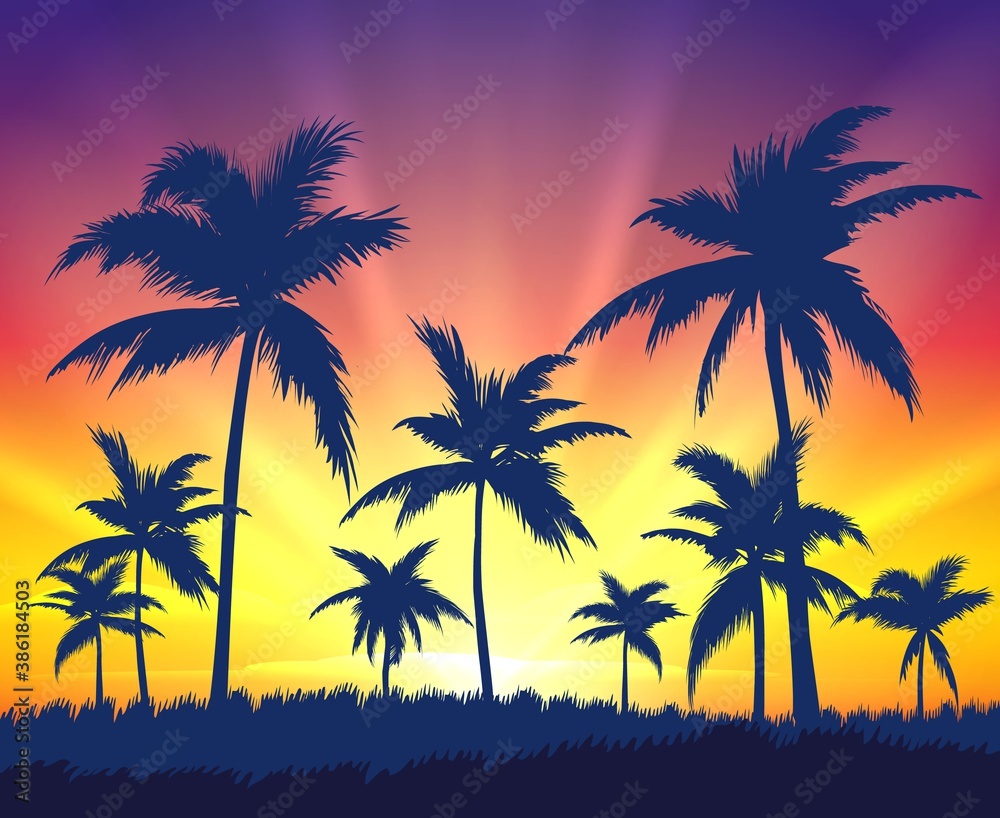 Tropical trees silhouettes on sunset