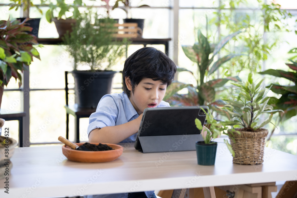 Asian boy learning with laptop in garden Asian boy learning with laptop in garden