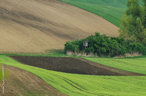 Rural spring landscape © Roxana