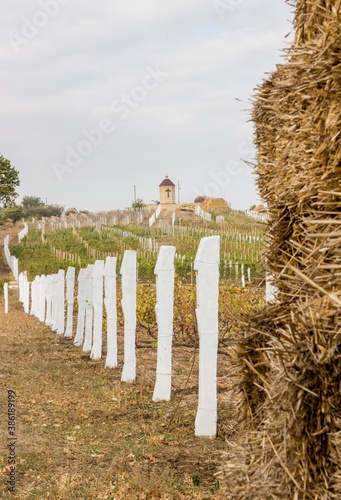 church in the village