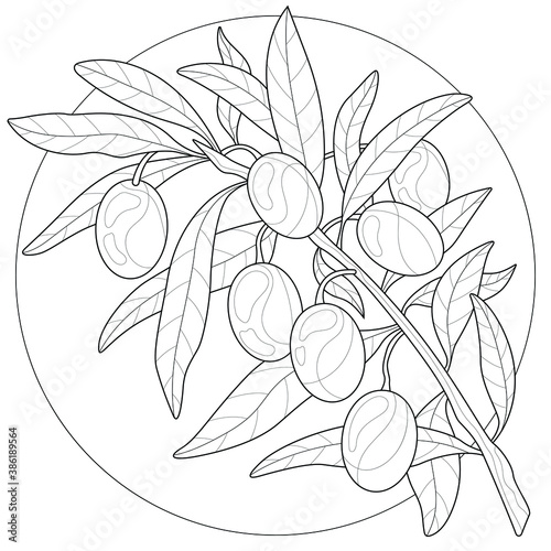 Olives.Coloring book antistress for children and adults. Illustration isolated on white background.Zen-tangle style.