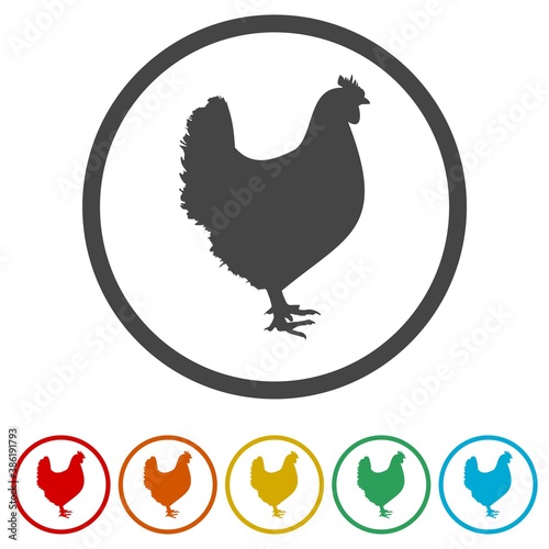 Chicken, Hen ring icon, color set