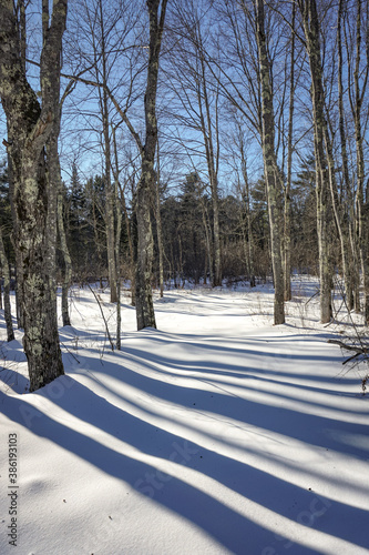 Beautiful shadows in Maine winter snowscape