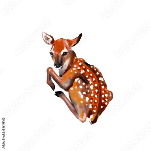 Drawing of a little baby deer laying down. Isolated on a white background. Bembi watercolor.