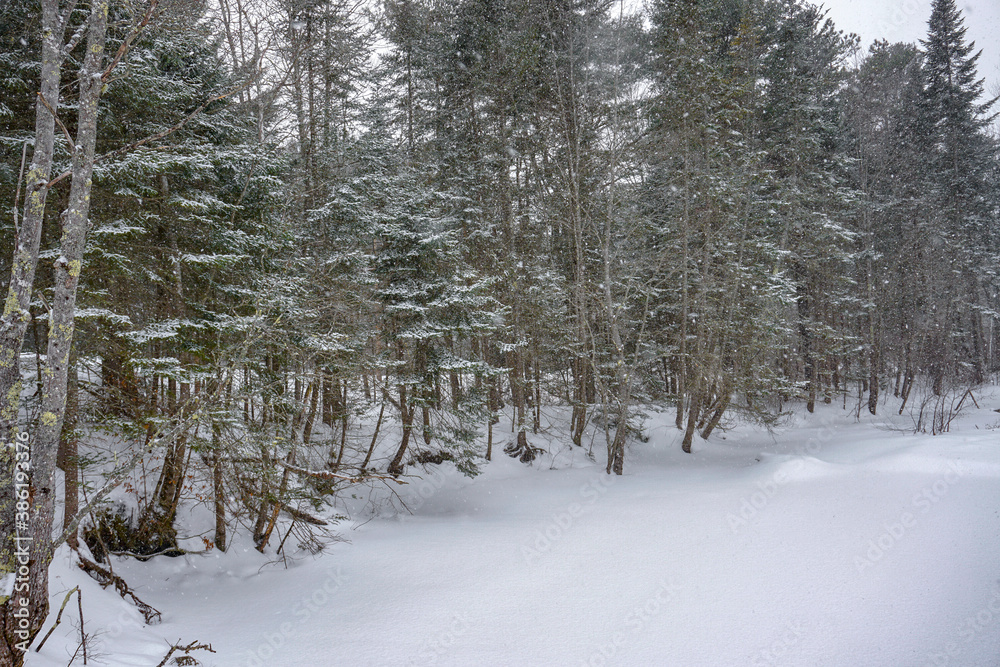 Fototapeta premium Snow covered brook during Maine winter