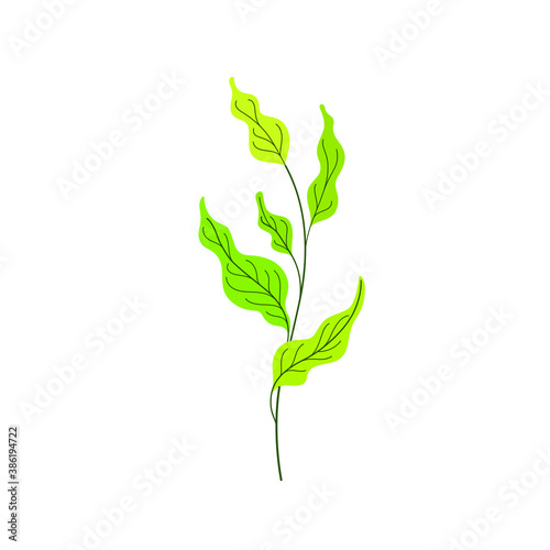 Illustration of plant branch. Flat vector colorful illustration.
