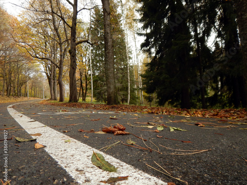 Bicycle path in an autumn park without people.