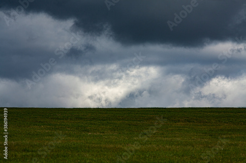 horizonte de hierba con nubes de fondo 