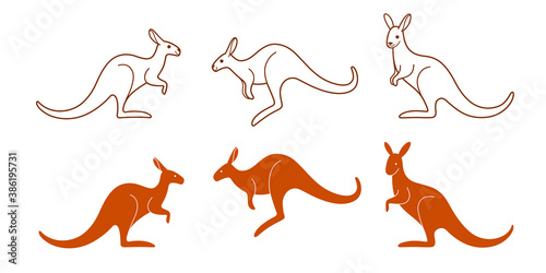 Fototapeta Naklejka Na Ścianę i Meble -  Kangaroo icon set. Different type of animal. Vector illustration for emblem, badge, insignia.