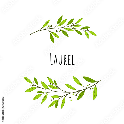 Branch of laurel arranged in circle. Simple vector illustration for card, packing, menu and label.