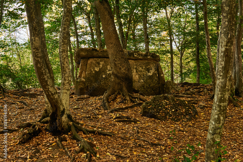 ancient megalith dolmen among trees in an autumn grove
