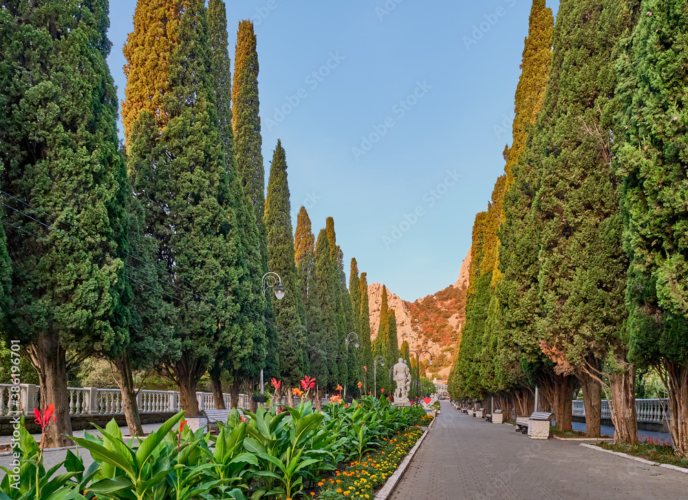 Cypress alley in town Simeiz, big Yalta, South Coast of Crimea.