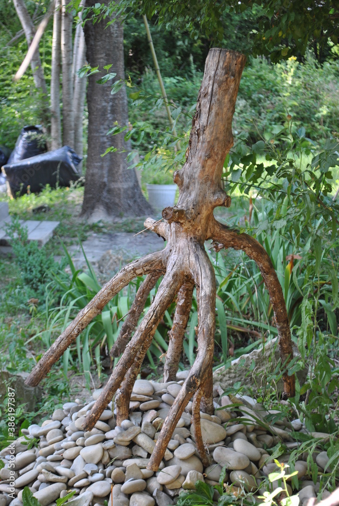 root art abstraction gravel stone pebbles nature forest creativity root art abstraction gravel stone pebbles nature forest creativity