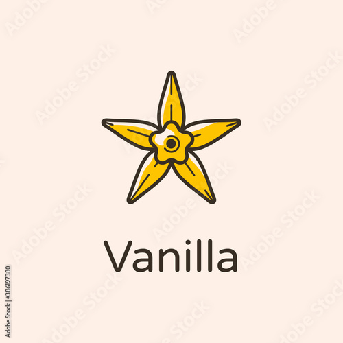 The flower of vanilla. Simple contour vector illustration for cosmetics, perfumeries and food packaging.