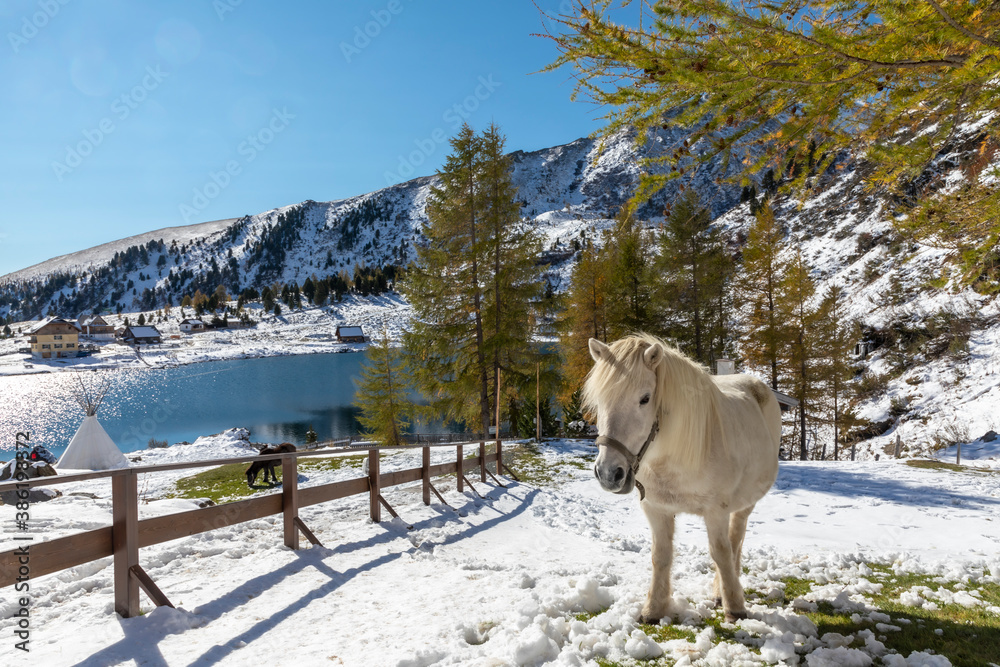 view over the lake Falkertsee, Carinthia, Austria