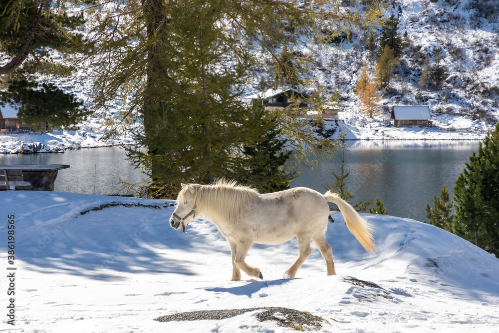Obraz premium view over the lake Falkertsee, Carinthia, Austria