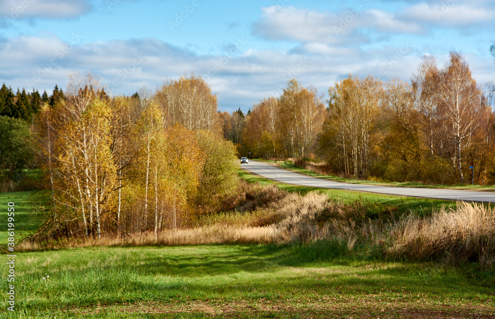 Road leading to the autumn forest with bright glowing trees and bright green grass in the foreground against the background of a blue sky with formidable clouds. Russian Landscape. Road leading to the autumn forest with bright glowing trees and bright green grass in the foreground against the background of a blue sky with formidable clouds. Russian Landscape.