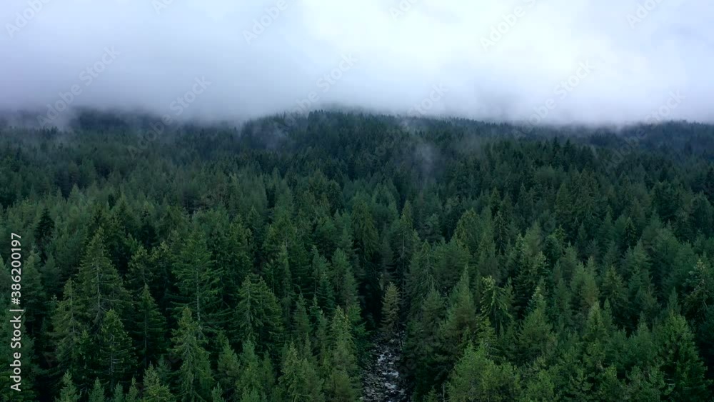 Mystic fog clouds at the mountain valley forest. Europe, mysterious morning alpine landscape Mystic fog clouds at the mountain valley forest. Europe, mysterious morning alpine landscape