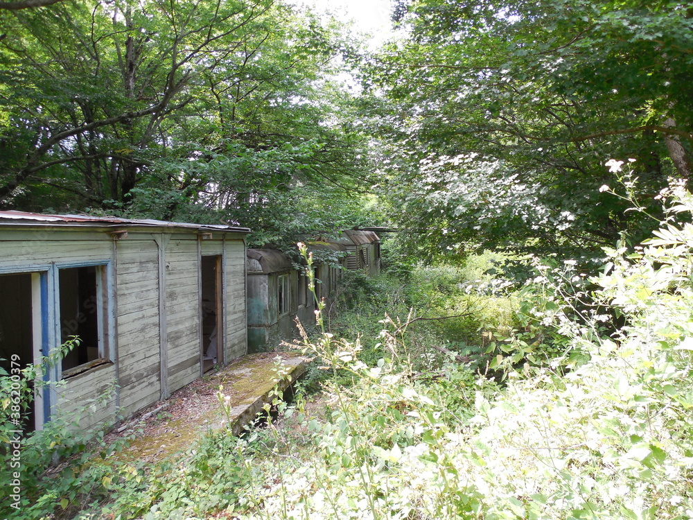 black sea old pioneer camp swallow coastal structures arrangement of a Soviet children's camp abandoned buildings walk observation tower coast guard black sea old pioneer camp swallow coastal structures arrangement of a Soviet children's camp abandoned buildings walk observation tower coast guard