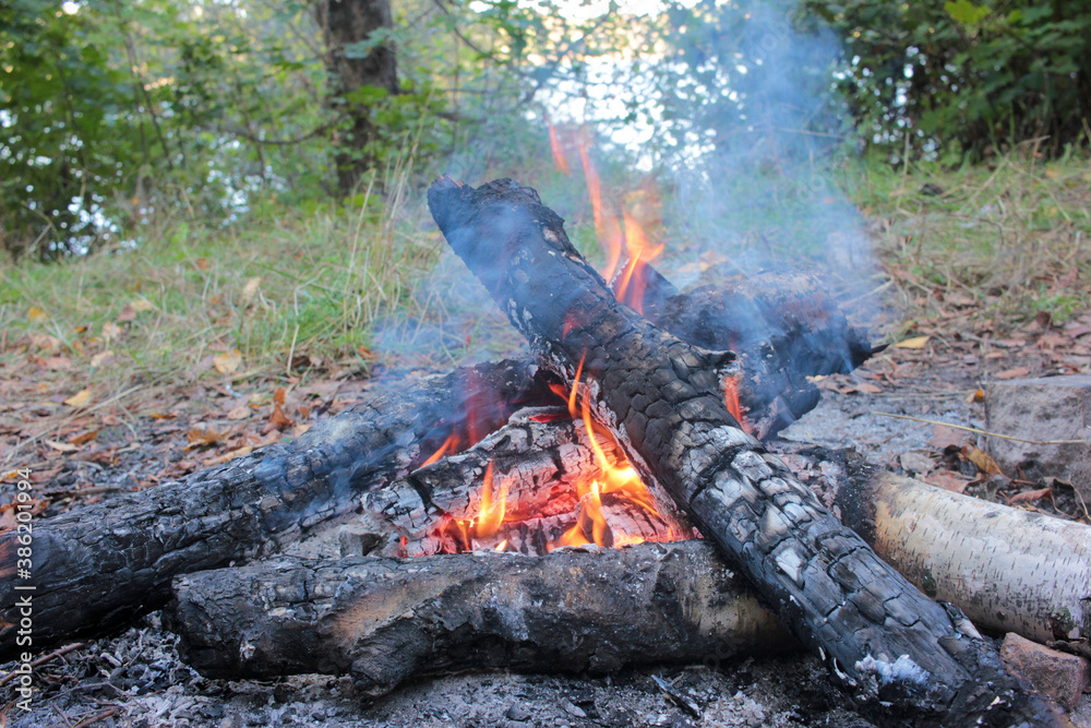 Bonfire in the forest. Campfire in autumn Bonfire in the forest. Campfire in autumn
