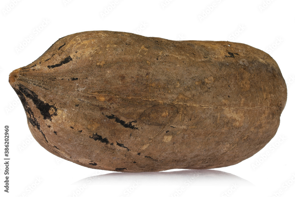 pecan nut isolated on white background pecan nut isolated on white background