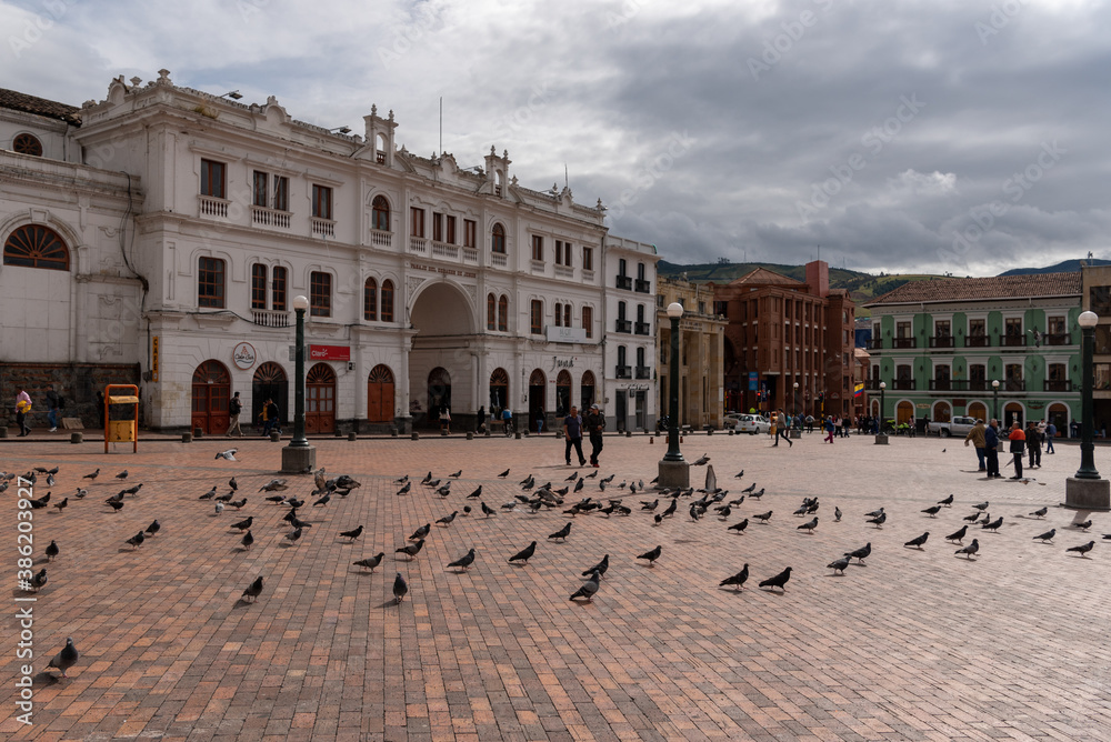 square with pigeons