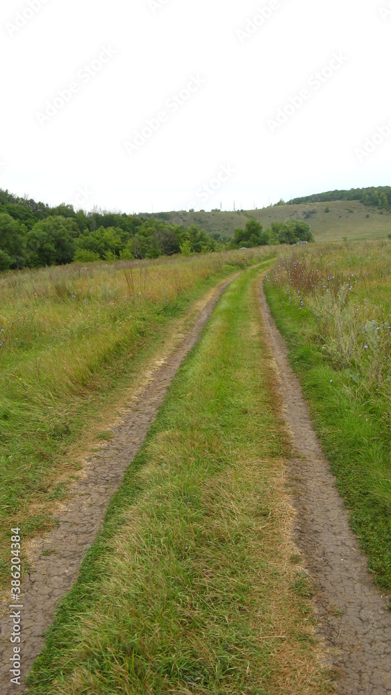 field grass road summer walk nature clear day nature field grass road summer walk nature clear day nature