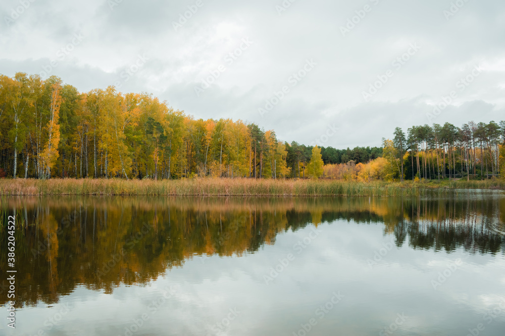 Landscape of a beautiful lake at the edge of the forest	