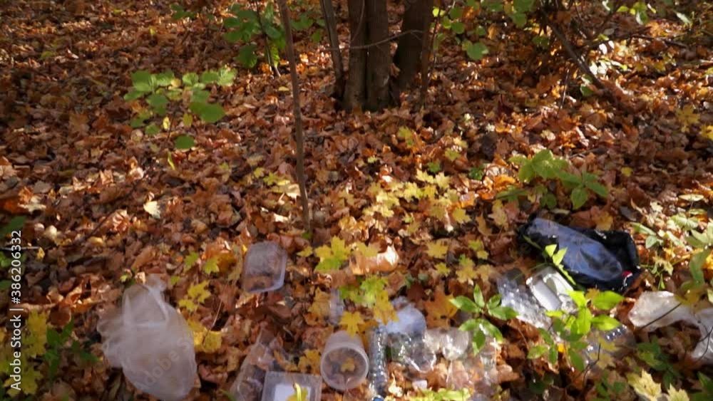 Plastic pollution of the forest and nature. Bottles, bags, and other plastic trash in the woods. Safe nature, global problem Plastic pollution of the forest and nature. Bottles, bags, and other plastic trash in the woods. Safe nature, global problem