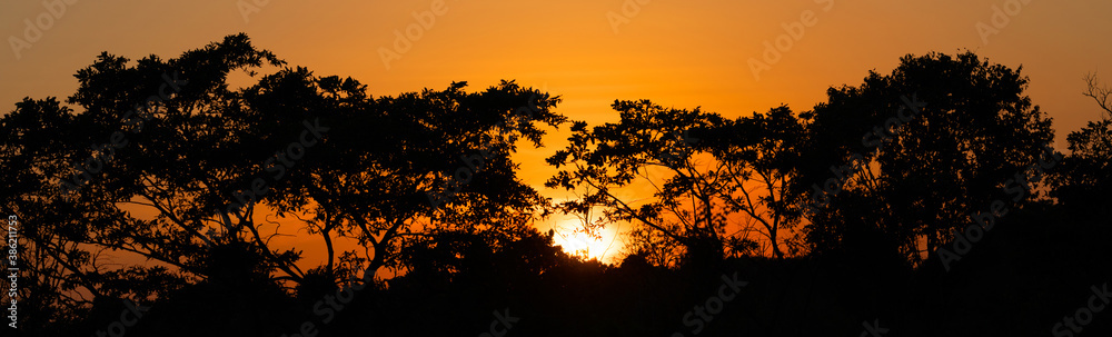 Sunset landscape with tropical trees and sun disk, Sri Lanka