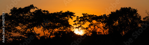 Sunset landscape with tropical trees and sun disk  Sri Lanka