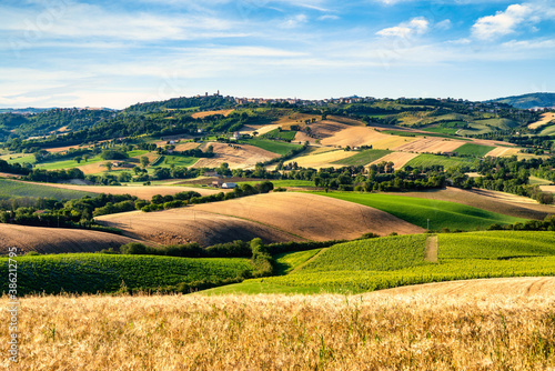 Countryside, landscape and cultivated fields. Marche, Italy photo