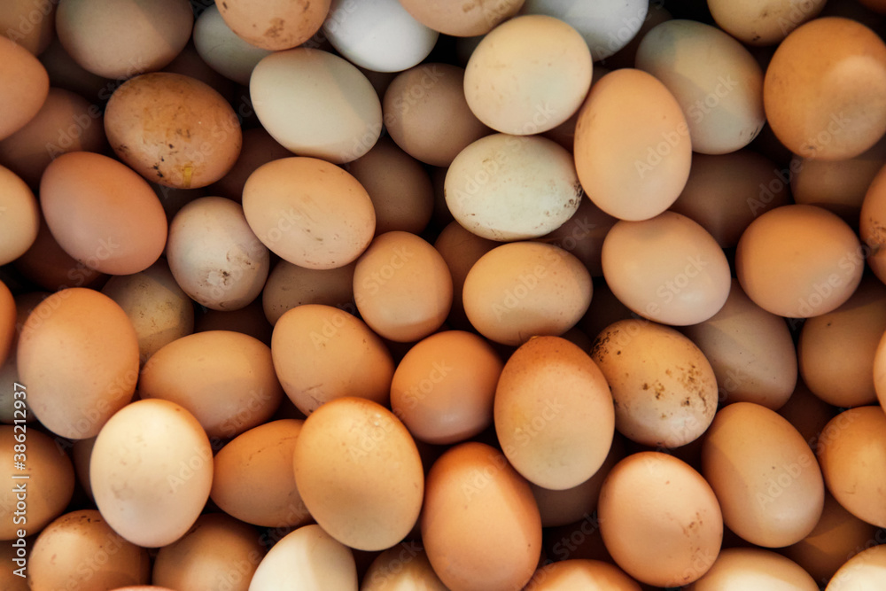 Farm organic homemade chicken eggs Farm organic homemade chicken eggs