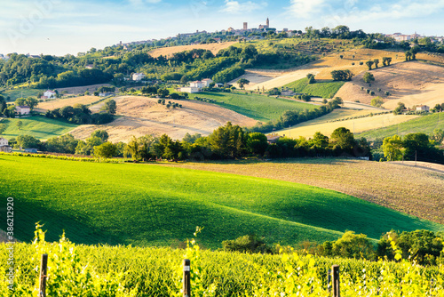 Foto Countryside, landscape and cultivated fields. Marche, Italy