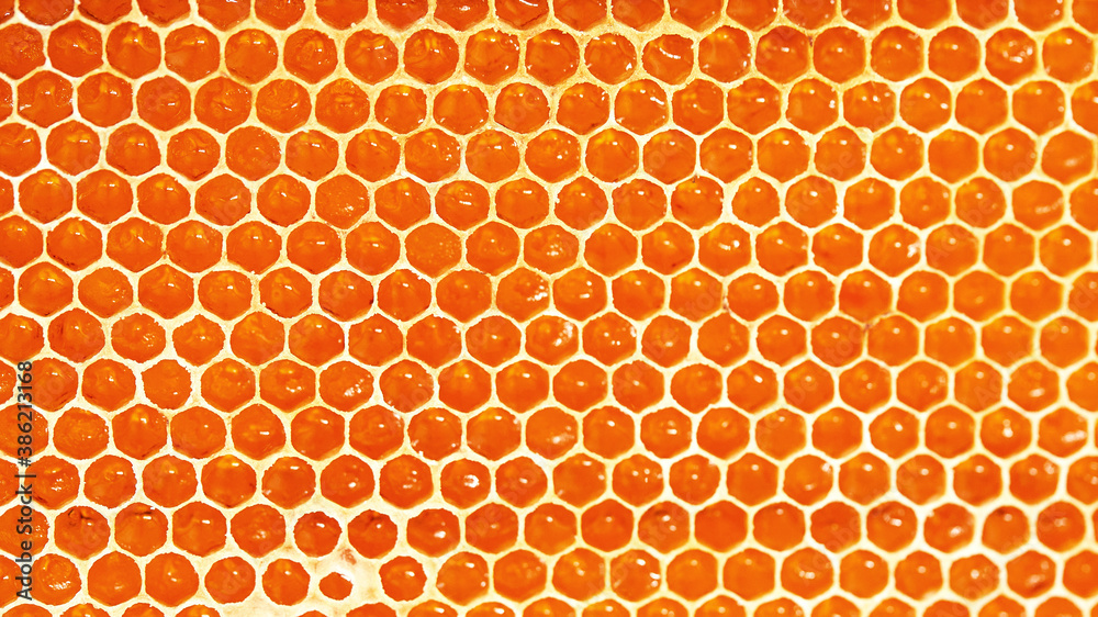 Honeycomb close-up, honey from the beehive. Natural farm product, it is free of nitrates and pesticides
